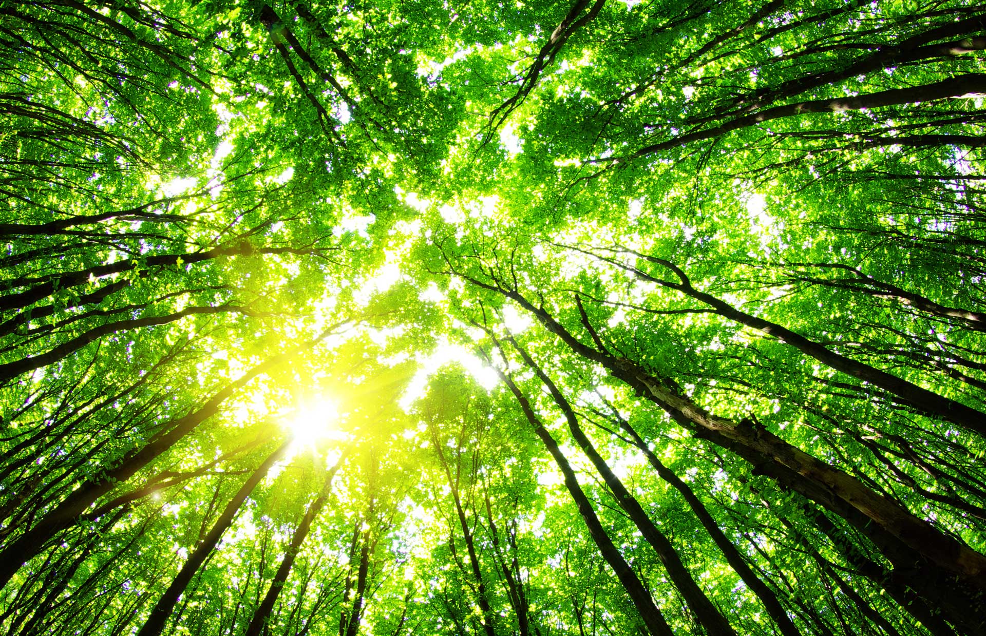 Innovation &eacute;cologique - Demeter